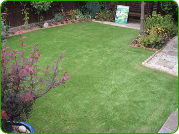 Finished Lawn